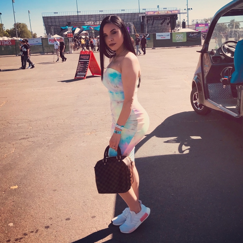 Louis Vuitton purse